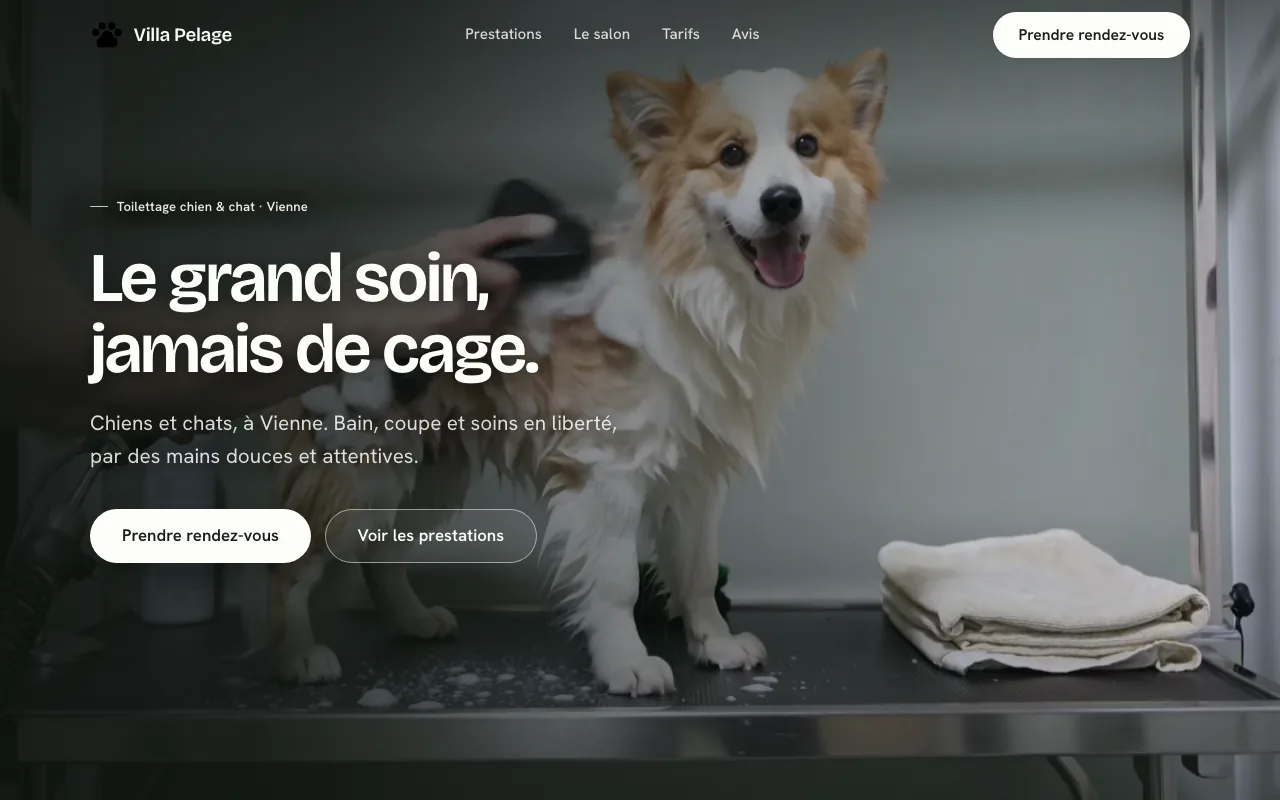 Maquette de site pour un salon de toilettage chien et chat.